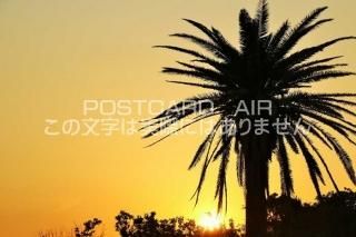 <img class='new_mark_img1' src='https://img.shop-pro.jp/img/new/icons1.gif' style='border:none;display:inline;margin:0px;padding:0px;width:auto;' />ܤΥݥȥAIR²λͼȥ䥷ڤΤϤϥս  /YOSHIO IWASAWA