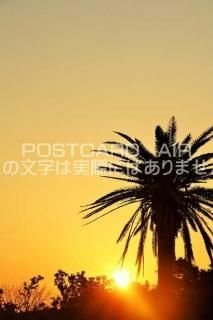 <img class='new_mark_img1' src='https://img.shop-pro.jp/img/new/icons1.gif' style='border:none;display:inline;margin:0px;padding:0px;width:auto;' />ܤΥݥȥAIR²λͼȥ䥷ڤΤϤϥս  /YOSHIO IWASAWA