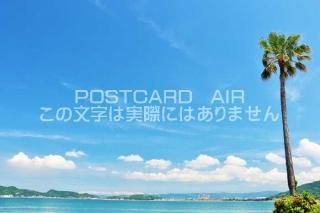 <img class='new_mark_img1' src='https://img.shop-pro.jp/img/new/icons1.gif' style='border:none;display:inline;margin:0px;padding:0px;width:auto;' />ܤΥݥȥAIR²λĶȥ䥷ڤΤϤϥս  /YOSHIO IWASAWA