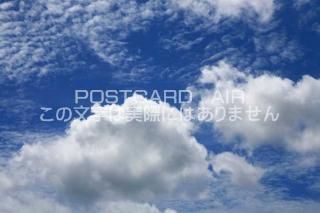<img class='new_mark_img1' src='https://img.shop-pro.jp/img/new/icons1.gif' style='border:none;display:inline;margin:0px;padding:0px;width:auto;' />ڼΥݥȥAIRĶȱսϥϤ photo by MIRO