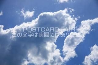<img class='new_mark_img1' src='https://img.shop-pro.jp/img/new/icons1.gif' style='border:none;display:inline;margin:0px;padding:0px;width:auto;' />ڼΥݥȥAIRĶȱսϥϤ photo by MIRO