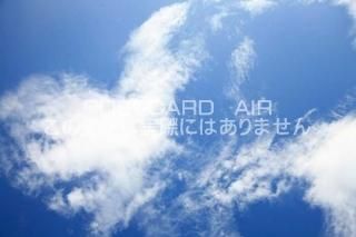 <img class='new_mark_img1' src='https://img.shop-pro.jp/img/new/icons1.gif' style='border:none;display:inline;margin:0px;padding:0px;width:auto;' />ڼΥݥȥAIRĶȱսϥϤ photo by MIRO