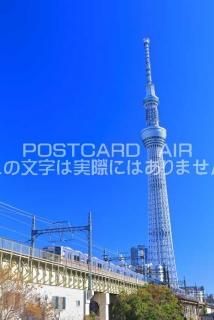 <img class='new_mark_img1' src='https://img.shop-pro.jp/img/new/icons1.gif' style='border:none;display:inline;margin:0px;padding:0px;width:auto;' />ܤΥݥȥAIRŷĥ꡼ȥȥΤϤϥս  /kazukiatuko
