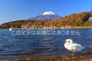 <img class='new_mark_img1' src='https://img.shop-pro.jp/img/new/icons1.gif' style='border:none;display:inline;margin:0px;padding:0px;width:auto;' />ܤʥݥȥAIRۻйդٻλĻΤϤϥս  /kazukiatuko