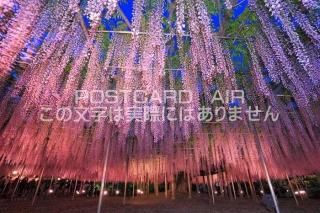 <img class='new_mark_img1' src='https://img.shop-pro.jp/img/new/icons1.gif' style='border:none;display:inline;margin:0px;padding:0px;width:auto;' />ܤʥݥȥAIR۰븩­եѡƣ饤ȥåפΤϤϥս  /kazukiatuko