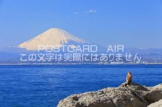<img class='new_mark_img1' src='https://img.shop-pro.jp/img/new/icons1.gif' style='border:none;display:inline;margin:0px;padding:0px;width:auto;' />ܤʥݥȥAIRۿٻΤĻΤϤϥս  /kazukiatuko