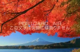 <img class='new_mark_img1' src='https://img.shop-pro.jp/img/new/icons1.gif' style='border:none;display:inline;margin:0px;padding:0px;width:auto;' />ܤʥݥȥAIRۻٻβϸйդΤϤϥս  /kazukiatuko