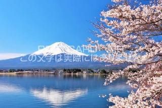 <img class='new_mark_img1' src='https://img.shop-pro.jp/img/new/icons1.gif' style='border:none;display:inline;margin:0px;padding:0px;width:auto;' />ܤʥݥȥAIRŲٻλȺȸФΤϤϥս  /YOSHIO IWASAWA