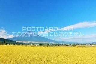 <img class='new_mark_img1' src='https://img.shop-pro.jp/img/new/icons1.gif' style='border:none;display:inline;margin:0px;padding:0px;width:auto;' />ܤʥݥȥAIRŲٻλĤܤΤϤϥս  /YOSHIO IWASAWA