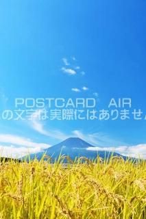 <img class='new_mark_img1' src='https://img.shop-pro.jp/img/new/icons1.gif' style='border:none;display:inline;margin:0px;padding:0px;width:auto;' />ܤʥݥȥAIRŲٻλĤܤΤϤϥս  /YOSHIO IWASAWA