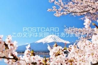 <img class='new_mark_img1' src='https://img.shop-pro.jp/img/new/icons1.gif' style='border:none;display:inline;margin:0px;padding:0px;width:auto;' />ܤʥݥȥAIRٻλȺΤϤϥս  /YOSHIO IWASAWA