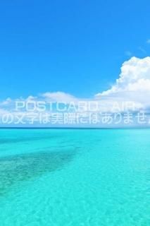 <img class='new_mark_img1' src='https://img.shop-pro.jp/img/new/icons1.gif' style='border:none;display:inline;margin:0px;padding:0px;width:auto;' />ܤʥݥȥAIR۲츩ĶĤΤϤϥս  /YOSHIO IWASAWA