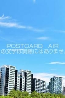 <img class='new_mark_img1' src='https://img.shop-pro.jp/img/new/icons1.gif' style='border:none;display:inline;margin:0px;padding:0px;width:auto;' />ܤʥݥȥAIRոĶΥޥ󥷥ΤϤϥս  /YOSHIO IWASAWA