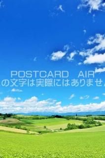 <img class='new_mark_img1' src='https://img.shop-pro.jp/img/new/icons1.gif' style='border:none;display:inline;margin:0px;padding:0px;width:auto;' />ܤʥݥȥAIR̳ƻĶͤΤϤϥս  /YOSHIO IWASAWA