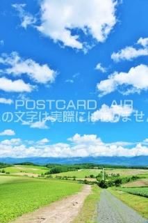 <img class='new_mark_img1' src='https://img.shop-pro.jp/img/new/icons1.gif' style='border:none;display:inline;margin:0px;padding:0px;width:auto;' />ܤʥݥȥAIR̳ƻĶͤΤϤϥս  /YOSHIO IWASAWA