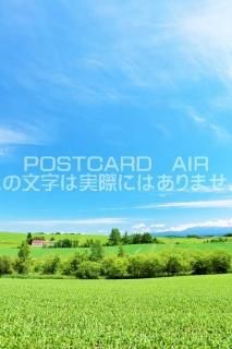 <img class='new_mark_img1' src='https://img.shop-pro.jp/img/new/icons1.gif' style='border:none;display:inline;margin:0px;padding:0px;width:auto;' />ܤʥݥȥAIR̳ƻĶͤΤϤϥս  /YOSHIO IWASAWA
