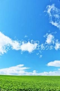 <img class='new_mark_img1' src='https://img.shop-pro.jp/img/new/icons1.gif' style='border:none;display:inline;margin:0px;padding:0px;width:auto;' />ܤʥݥȥAIR̳ƻĶͤΤϤϥս  /YOSHIO IWASAWA