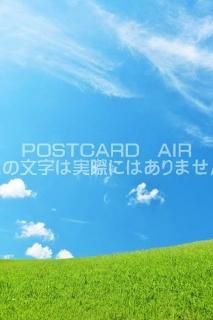 <img class='new_mark_img1' src='https://img.shop-pro.jp/img/new/icons1.gif' style='border:none;display:inline;margin:0px;padding:0px;width:auto;' />ܤʥݥȥAIRոĶ𸶤ΤϤϥս  /YOSHIO IWASAWA