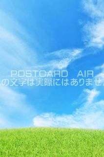 <img class='new_mark_img1' src='https://img.shop-pro.jp/img/new/icons1.gif' style='border:none;display:inline;margin:0px;padding:0px;width:auto;' />ܤʥݥȥAIRոĶ𸶤ΤϤϥս  /YOSHIO IWASAWA