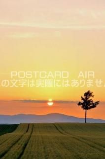 <img class='new_mark_img1' src='https://img.shop-pro.jp/img/new/icons1.gif' style='border:none;display:inline;margin:0px;padding:0px;width:auto;' />ܤʥݥȥAIR̳ƻͼΥإε֤ΤϤϥս  /YOSHIO IWASAWA
