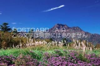 <img class='new_mark_img1' src='https://img.shop-pro.jp/img/new/icons1.gif' style='border:none;display:inline;margin:0px;padding:0px;width:auto;' />ܤʥݥȥɤAIR۰ɲ  ʻʻΥݥȥսϤϥPhotoby.com