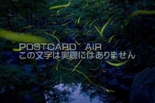 <img class='new_mark_img1' src='https://img.shop-pro.jp/img/new/icons1.gif' style='border:none;display:inline;margin:0px;padding:0px;width:auto;' />ܤʥݥȥɤAIR۵ ڷ ĮۥΥݥȥսϤϥPhotoby.com