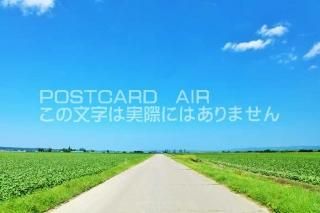 <img class='new_mark_img1' src='https://img.shop-pro.jp/img/new/icons1.gif' style='border:none;display:inline;margin:0px;padding:0px;width:auto;' />ܤʥݥȥAIR̳ƻƤϤƻΤϤϥս  /YOSHIO IWASAWA