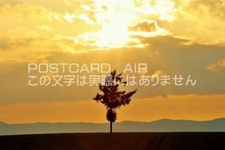 <img class='new_mark_img1' src='https://img.shop-pro.jp/img/new/icons1.gif' style='border:none;display:inline;margin:0px;padding:0px;width:auto;' />ܤʥݥȥAIR̳ƻإε֡ͼͼڤΤϤϥս  /YOSHIO IWASAWA