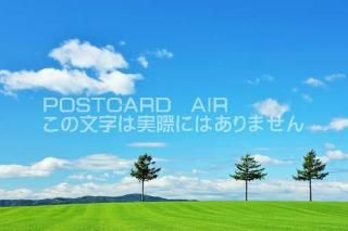 <img class='new_mark_img1' src='https://img.shop-pro.jp/img/new/icons1.gif' style='border:none;display:inline;margin:0px;padding:0px;width:auto;' />ܤʥݥȥAIR̳ƻĶȥإε֤ΤϤϥս  /YOSHIO IWASAWA