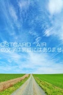 <img class='new_mark_img1' src='https://img.shop-pro.jp/img/new/icons1.gif' style='border:none;display:inline;margin:0px;padding:0px;width:auto;' />ܤʥݥȥAIR̳ƻĶͤϤƻΤϤϥս  /YOSHIO IWASAWA