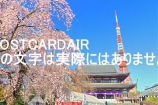 <img class='new_mark_img1' src='https://img.shop-pro.jp/img/new/icons1.gif' style='border:none;display:inline;margin:0px;padding:0px;width:auto;' />ܤʥݥȥAIRκΤϤϥս  /kazukiatuko