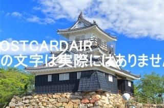 <img class='new_mark_img1' src='https://img.shop-pro.jp/img/new/icons1.gif' style='border:none;display:inline;margin:0px;padding:0px;width:auto;' />ܤʥݥȥAIRŲ;2019ǯΤϤϥս  /kazukiatuko