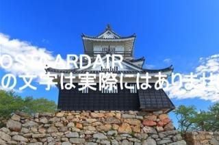 <img class='new_mark_img1' src='https://img.shop-pro.jp/img/new/icons1.gif' style='border:none;display:inline;margin:0px;padding:0px;width:auto;' />ܤʥݥȥAIRŲ;2019ǯΤϤϥս  /kazukiatuko