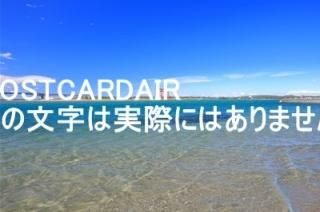 <img class='new_mark_img1' src='https://img.shop-pro.jp/img/new/icons1.gif' style='border:none;display:inline;margin:0px;padding:0px;width:auto;' />ܤʥݥȥAIRŲ̾Фŷ糤͸2019ǯΤϤϥս  /kazukiatuko