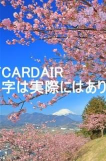 <img class='new_mark_img1' src='https://img.shop-pro.jp/img/new/icons1.gif' style='border:none;display:inline;margin:0px;padding:0px;width:auto;' />ܤʥݥȥAIRۿٻλȤޤĤޤĤΤϤϥս  /kazukiatuko