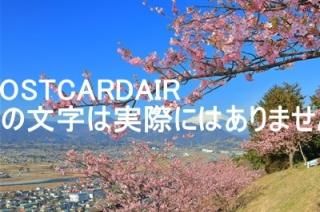 <img class='new_mark_img1' src='https://img.shop-pro.jp/img/new/icons1.gif' style='border:none;display:inline;margin:0px;padding:0px;width:auto;' />ܤʥݥȥAIRۿٻλȤޤĤޤĤΤϤϥս  /kazukiatuko