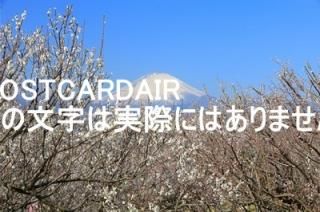 <img class='new_mark_img1' src='https://img.shop-pro.jp/img/new/icons1.gif' style='border:none;display:inline;margin:0px;padding:0px;width:auto;' />ܤʥݥȥAIRۿ̽ߤޤĤΤϤϥս  /kazukiatuko