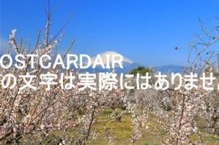 <img class='new_mark_img1' src='https://img.shop-pro.jp/img/new/icons1.gif' style='border:none;display:inline;margin:0px;padding:0px;width:auto;' />ܤʥݥȥAIRۿ̽ߤޤĤΤϤϥս  /kazukiatuko