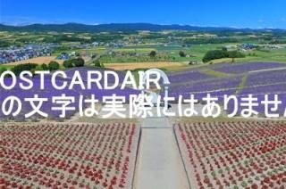 <img class='new_mark_img1' src='https://img.shop-pro.jp/img/new/icons1.gif' style='border:none;display:inline;margin:0px;padding:0px;width:auto;' />ܤʥݥȥAIR̳ƻνи٥ΤϤϥս  /kazukiatuko