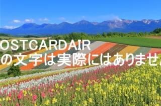 <img class='new_mark_img1' src='https://img.shop-pro.jp/img/new/icons1.gif' style='border:none;display:inline;margin:0px;padding:0px;width:auto;' />ܤʥݥȥAIR̳ƻϢĮŸ˾ȪΤϤϥս  /kazukiatuko