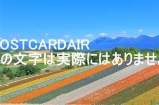 <img class='new_mark_img1' src='https://img.shop-pro.jp/img/new/icons1.gif' style='border:none;display:inline;margin:0px;padding:0px;width:auto;' />ܤʥݥȥAIR̳ƻϢĮŸ˾ȪΤϤϥս  /kazukiatuko