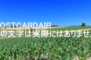 <img class='new_mark_img1' src='https://img.shop-pro.jp/img/new/icons1.gif' style='border:none;display:inline;margin:0px;padding:0px;width:auto;' />ܤʥݥȥAIR̳ƻĮ֤Τ֤ΤϤϥս  /kazukiatuko