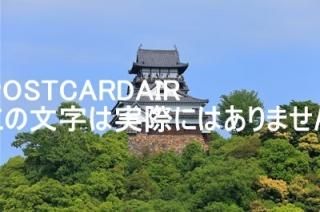 <img class='new_mark_img1' src='https://img.shop-pro.jp/img/new/icons1.gif' style='border:none;display:inline;margin:0px;padding:0px;width:auto;' />ܤʥݥȥAIRۢ484-0082 θԸ̸ŷ?Фιŷ2016ǯΤϤϥս  /kazukiatuko