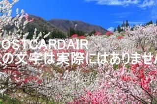 <img class='new_mark_img1' src='https://img.shop-pro.jp/img/new/icons1.gif' style='border:none;display:inline;margin:0px;padding:0px;width:auto;' />ܤʥݥȥAIRĹޤĤ2017ǯΥϥս  /kazukiatuko