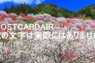<img class='new_mark_img1' src='https://img.shop-pro.jp/img/new/icons1.gif' style='border:none;display:inline;margin:0px;padding:0px;width:auto;' />ܤʥݥȥAIRĹޤĤ2017ǯΥϥս  /kazukiatuko