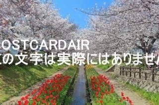 <img class='new_mark_img1' src='https://img.shop-pro.jp/img/new/icons1.gif' style='border:none;display:inline;margin:0px;padding:0px;width:auto;' />ڿ۹餮ƻκȥ塼åפζ2019ǯΥϥս  /kazukiatuko