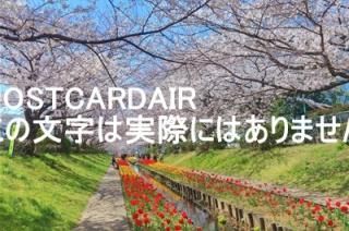 <img class='new_mark_img1' src='https://img.shop-pro.jp/img/new/icons1.gif' style='border:none;display:inline;margin:0px;padding:0px;width:auto;' />ڿ۹餮ƻκȥ塼åפζ2019ǯΥϥս  /kazukiatuko