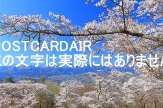 <img class='new_mark_img1' src='https://img.shop-pro.jp/img/new/icons1.gif' style='border:none;display:inline;margin:0px;padding:0px;width:auto;' />ں̸ۢ369-1412 ̸㷴Įλκ2019ǯΥϥս  /kazukiatuko