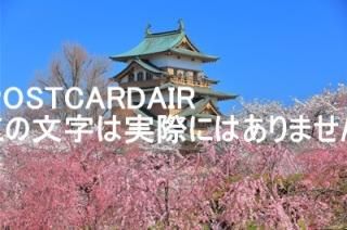 <img class='new_mark_img1' src='https://img.shop-pro.jp/img/new/icons1.gif' style='border:none;display:inline;margin:0px;padding:0px;width:auto;' />Ĺۢ392-0022 ĹˬԹ磱ܣ?ŷικ2019ǯΥϥս  /kazukiatuko