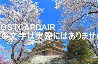 <img class='new_mark_img1' src='https://img.shop-pro.jp/img/new/icons1.gif' style='border:none;display:inline;margin:0px;padding:0px;width:auto;' />Ĺۢ392-0022 ĹˬԹ磱ܣ?ŷικ2019ǯΥϥս  /kazukiatuko